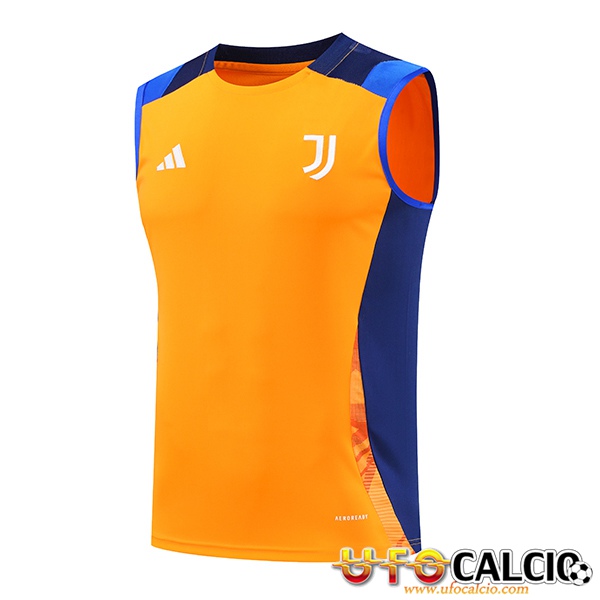 Canotta Allenamento Juventus Arancia Blu 2024 2025 Basso Prezzo Personalizzate
